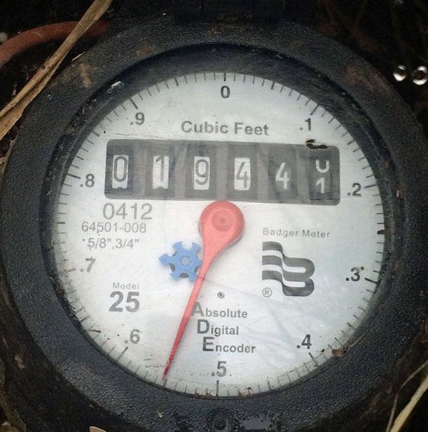 A water meter measures water in cubic feet.