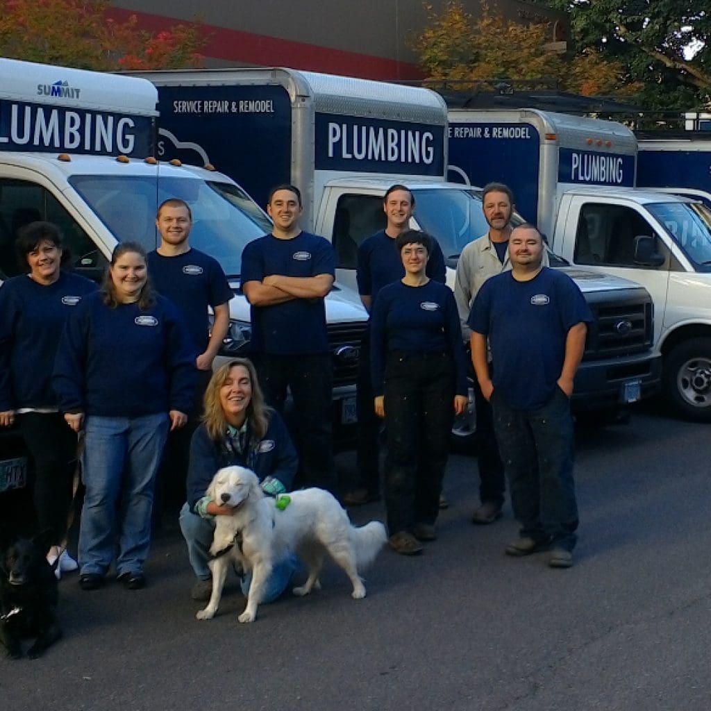 A team photo of Meticulous Plumbing to illustrate the benefits of choosing local plumbers and plumbing Leaks and mold