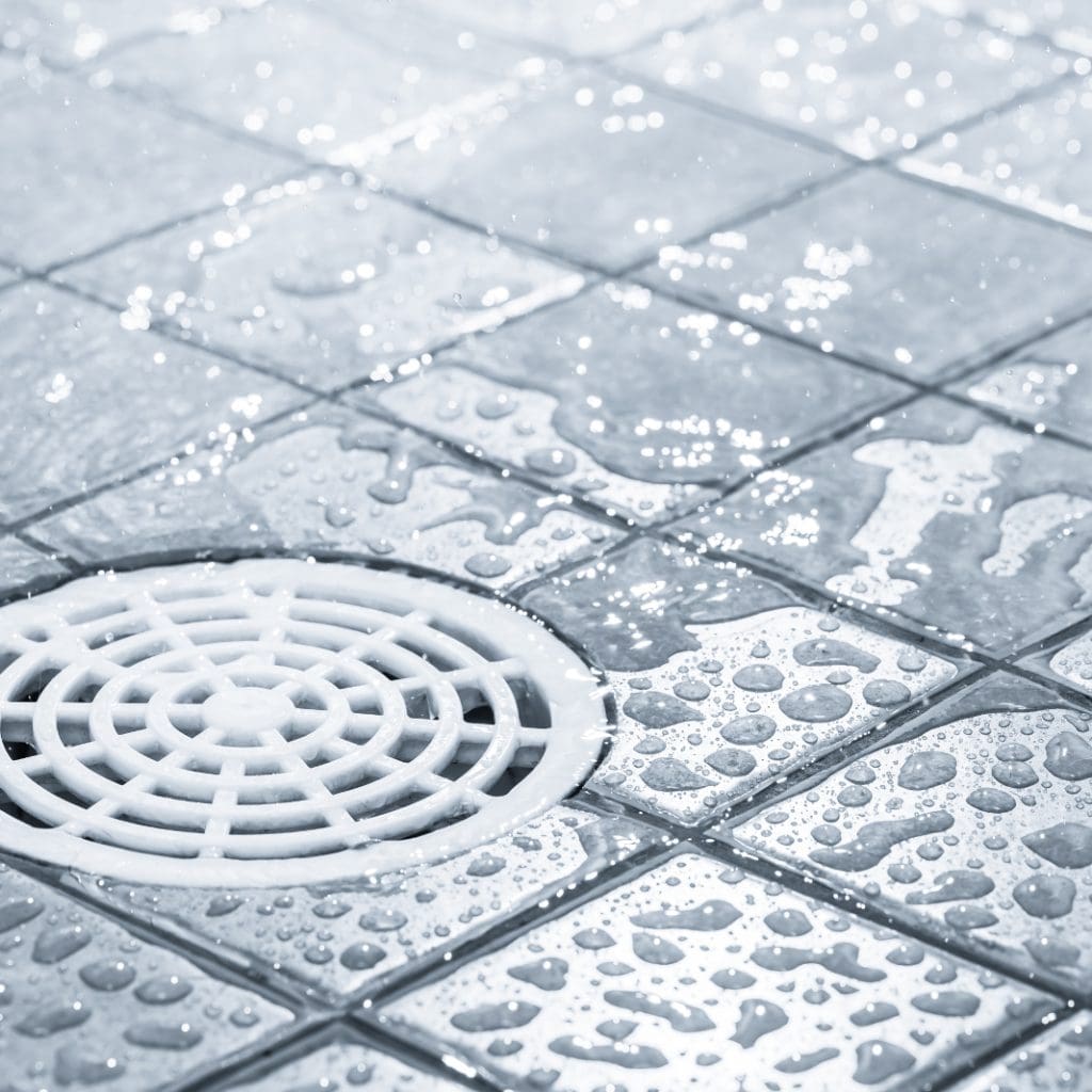 Shower drain cover on tile floor to illustrate How to take off shower drain and What Dissolves Hair in a Drain?