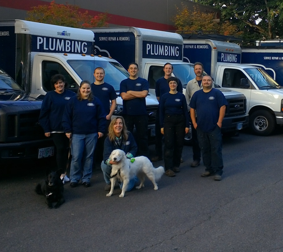 Meticulous Plumbing team standing in front of their vans